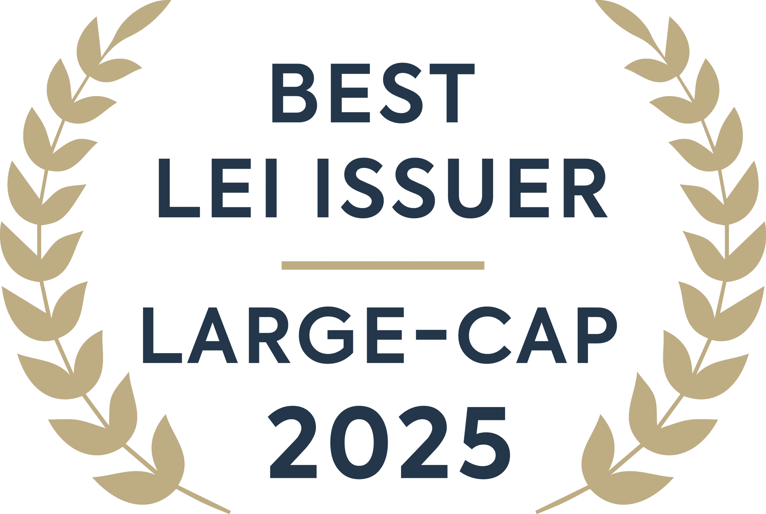 Best Performing LEI Issuer 2025 large-cap award